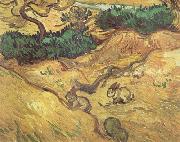 Vincent Van Gogh Field with Two Rabbits (nn04) oil painting picture wholesale